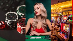 Step-by-step guide showing how to register and play bingo on 772pub from a phone